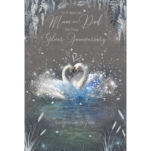 Picture of TO A SPECIAL MUM & DAD SILVER ANNIVERSARY CARD